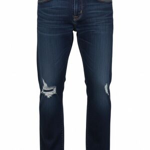 Hudson Jeans Women’s Size 27 Dark Wash Premium D